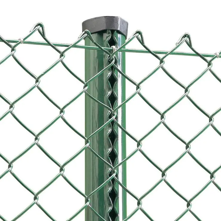 Chain Link Fence (5).jpg