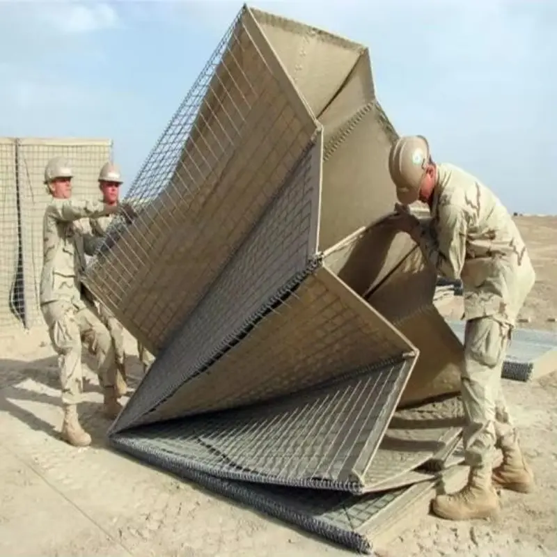 dfger6.jpg