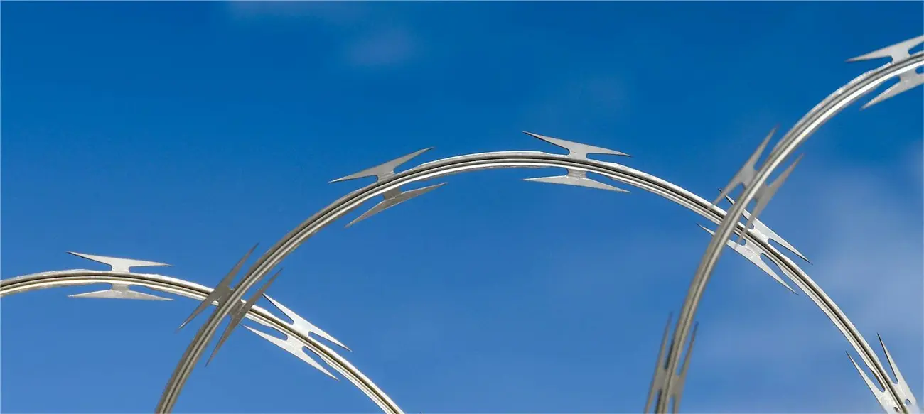  Razor Wire (2).jpg