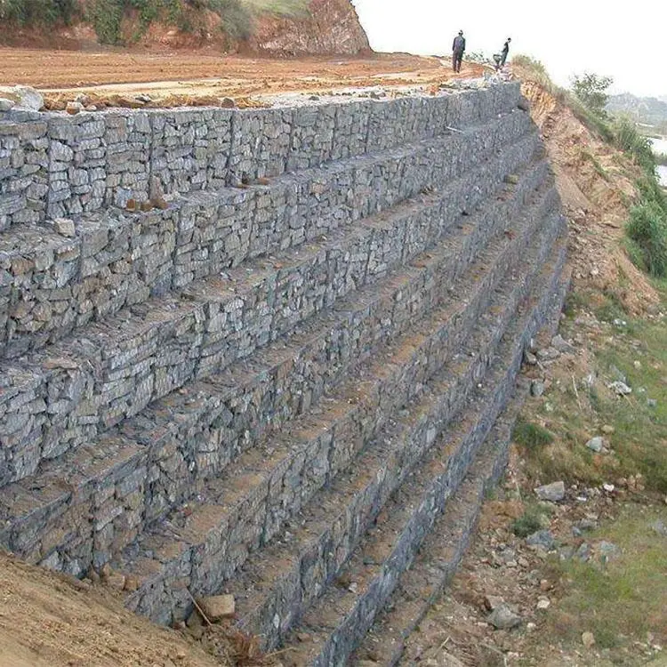 Gabion vs. Retaining Wall: Which One Should You Choose?
