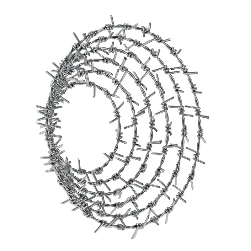 Barbed Wire (4).jpg